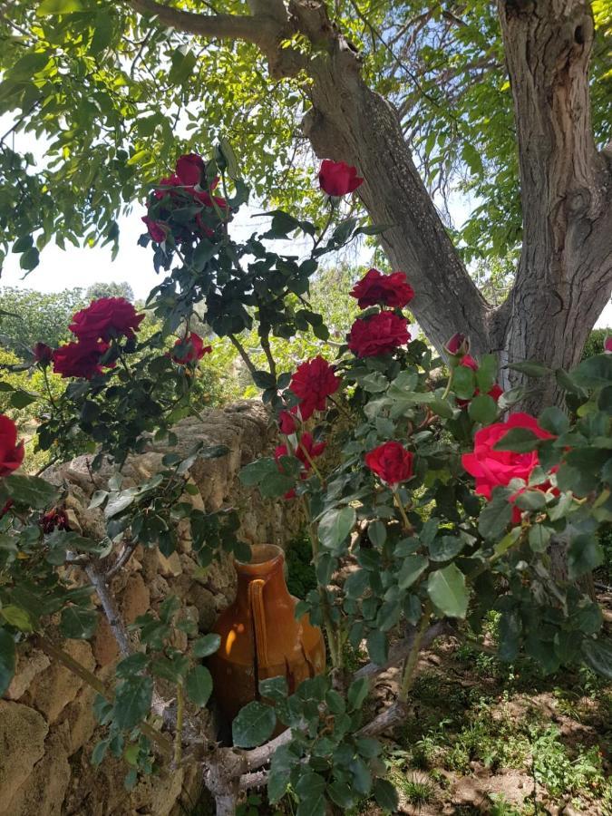 Villa TRULLO del CAVALIERE delle GRAVINE Castellaneta Esterno foto